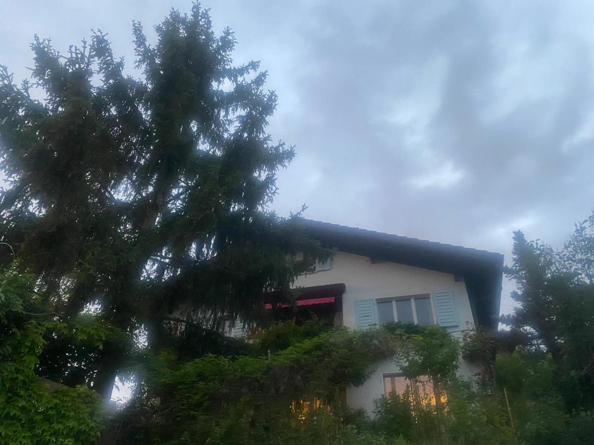 Vu Sur Le Et Les Neiges Eternelle Apartment