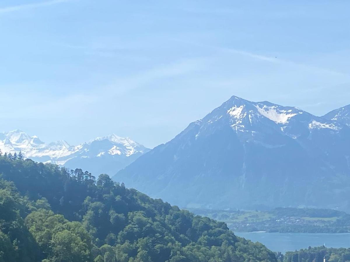 Vu Sur Le Et Les Neiges Eternelle Thoune